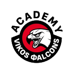ASI Vikos Falcons Academy