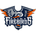 Flint Firebirds