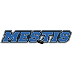 Mestis